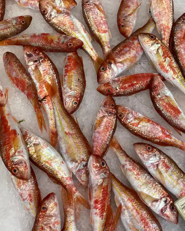 Salmonetes frescos sobre hielo en un mercado de Málaga