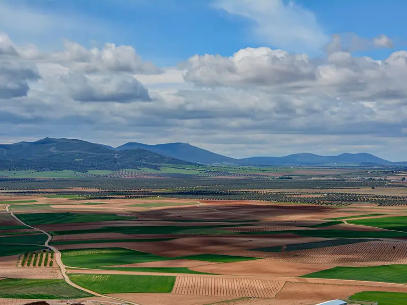 Campos de cultivo en la llanura de Consuegra, en Toledo, vistos desde el aire