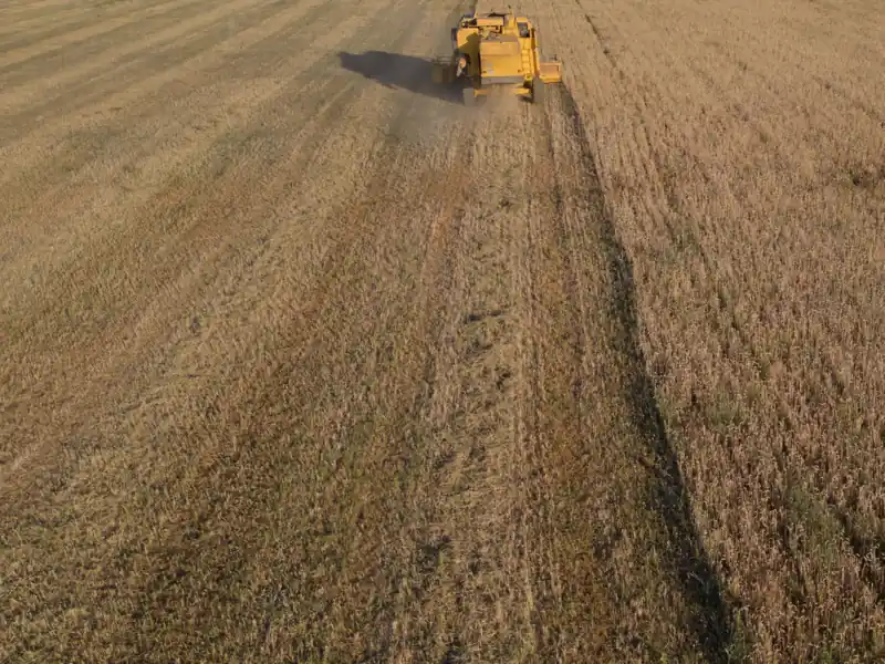 Cosechadora trabajando un campo de trigo en Valladolid, vista desde el aire