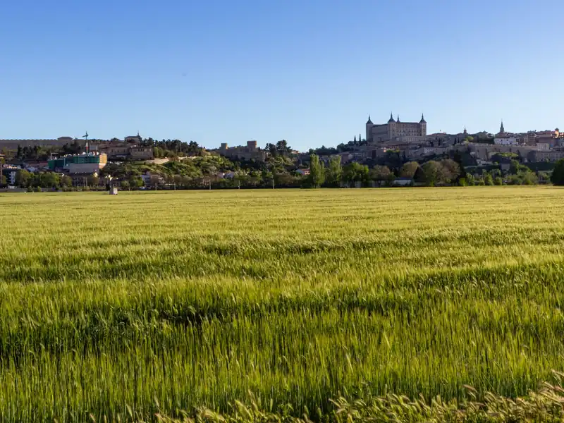 Campo de trigo con el Alcázar de Toledo al fondo